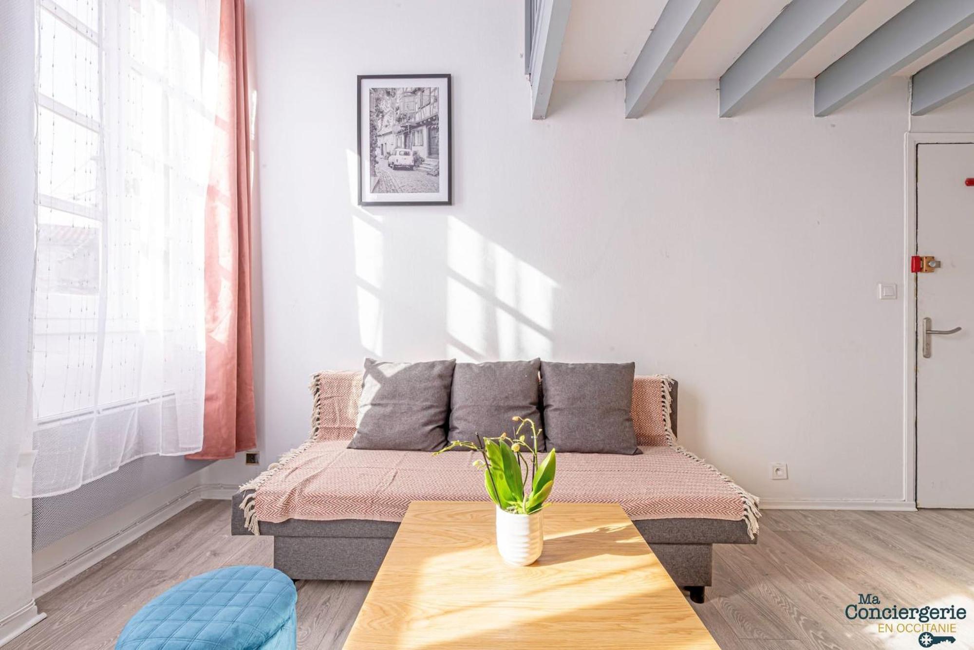 Duplex Champetre : Gare, Marche, Hypercentre Apartment Toulouse Exterior photo